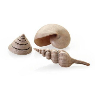 Песчаная галька biOrb sea shells natural