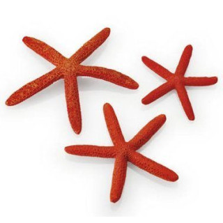 Набор красных морских звезд (Starfish set 3 red)