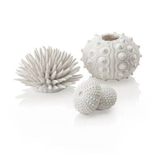 Набор декор. элементов "Морской ёж", белый, (sea urchins set white)