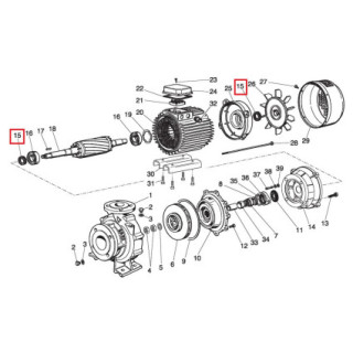 Уплотнительное кольцо фронтальное для насосов Saer IR4P125-250A Cast Iron (54710520)