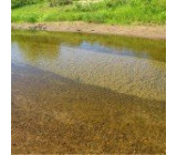 Как определить чистоту воды в речке, озере, пруду? Можно ли в них купаться?