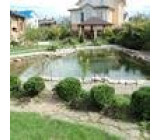 Основные советы по уходу за искусственным дачным водоёмом